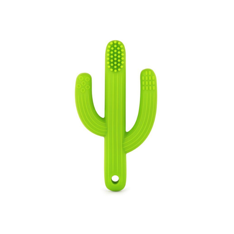 green cactus silicone training toothbrush 