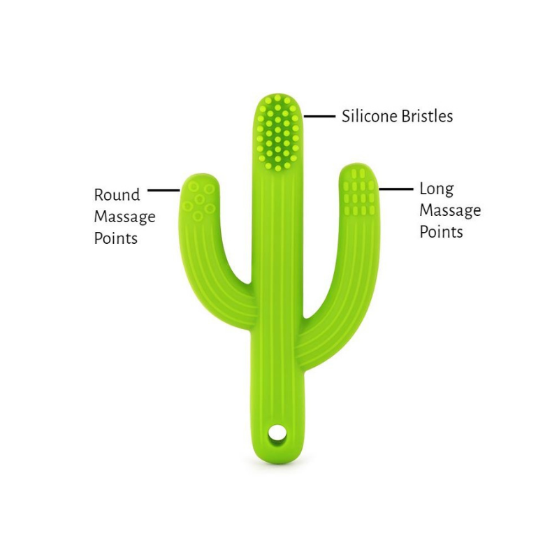 green cactus silicone training toothbrush with silicone bristles and long and round massage points